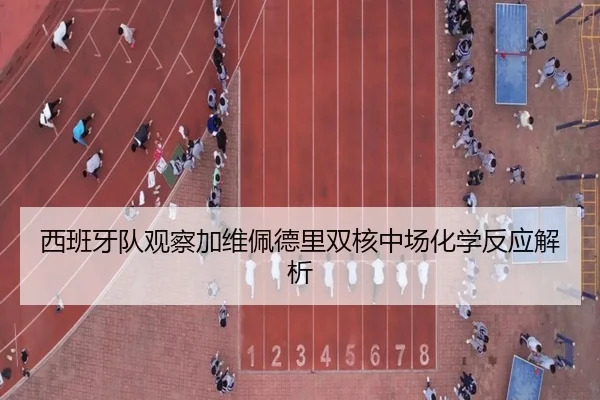 西班牙队观察加维佩德里双核中场化学反应解析